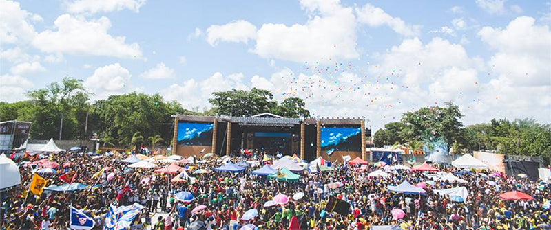 Festival Vaping – A User Guide